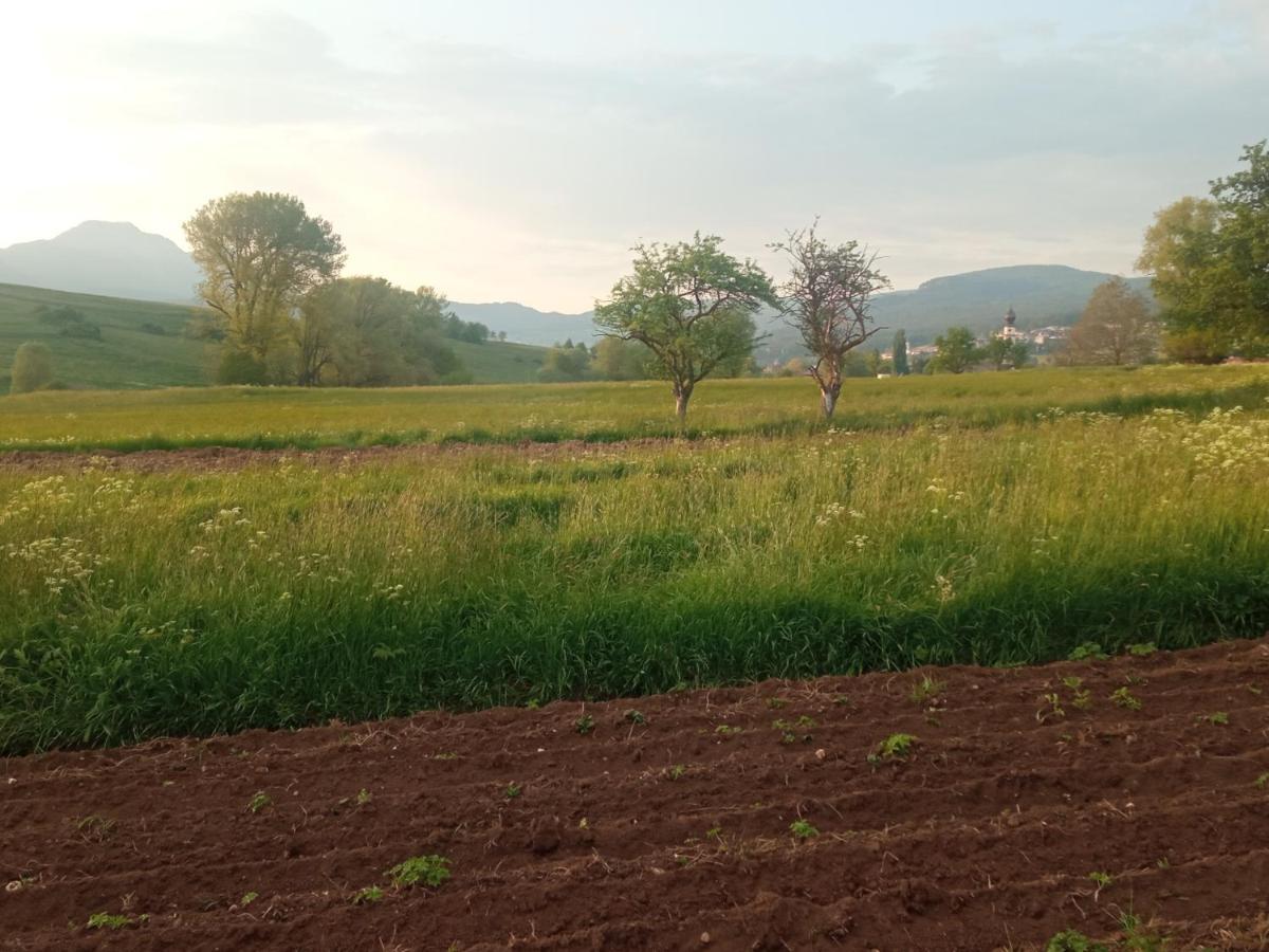 Appartamento Roen Cavareno Extérieur photo